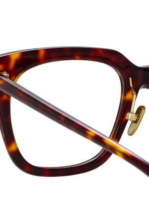 Empire Optical D-frame In Tortoiseshell