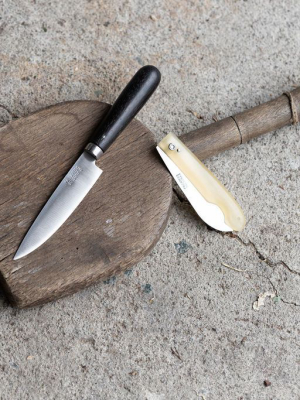 Ebony Handled Stainless Steel Knife