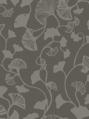 Gingko Trail Wallpaper In Black From The Botanical Dreams Collection By Candice Olson For York Wallcoverings