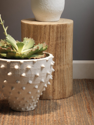 Agave Side Table
