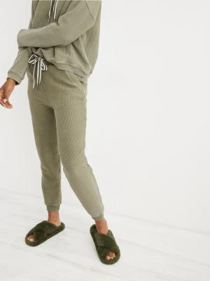 Aerie New Love Corded Jogger