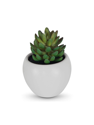 Small Potted Jade Faux Succulent