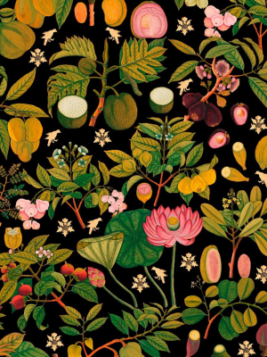 Asian Fruits And Flowers Wallpaper In Dark Multi From The Florilegium Collection By Mind The Gap