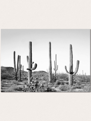Cactus Land Bw