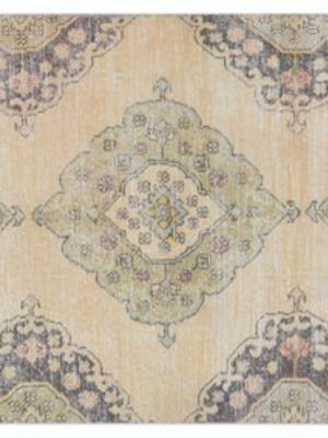 Turkish Anatolian Rug 3'7" X 12'6"