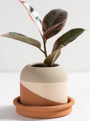 Colorblock Planter + Saucer