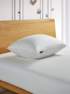 Down Fiber Back Sleeper Bed Pillow - Serta