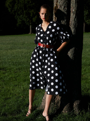 Polka Dot Belt Dress