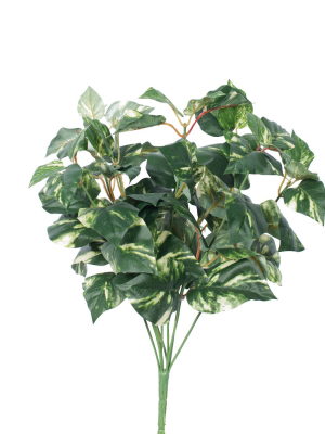 Vickerman 17" Artificial Green And Cream Pothos Leaf Bush.