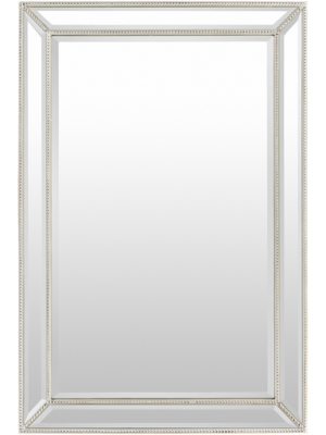 Transitional Wall Mirror In Silver