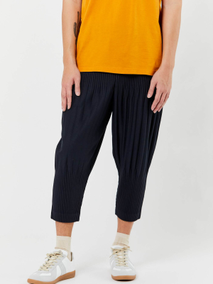 Navy Cropped Pleated Pants