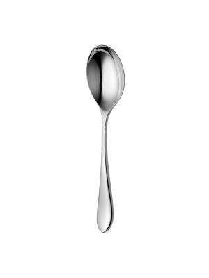 Norton Bright Serving Spoon