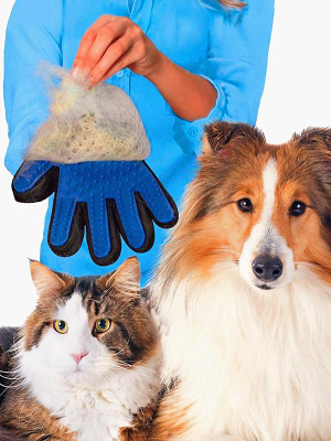 Pet Grooming Brush/glove