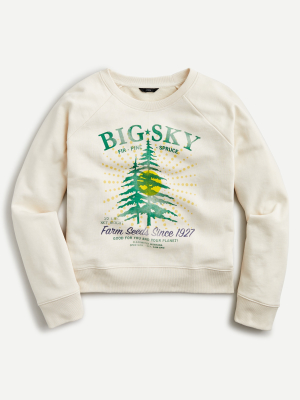 Big Sky Sweatshirt In Original Cotton Terry