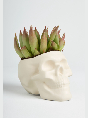 Outta Your Mind Ceramic Planter