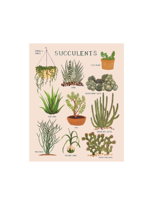 Succulents Print