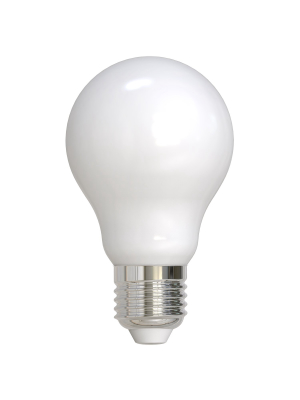 Basic Led Bulb