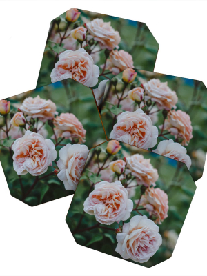 Hello Twiggs Moody Roses Ii Coaster Set - Deny Designs