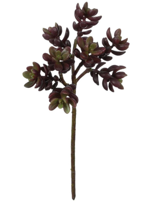 Sullivans Artificial Succulent Stem 11.5"h Brown Flowers