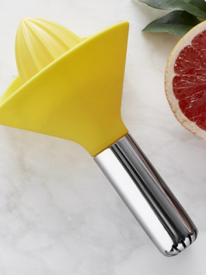 Williams Sonoma Citrus Reamer With Funnel