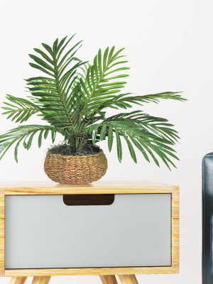 14" X 15" Artificial Palm Plant In Low Basket - Lcg Florals