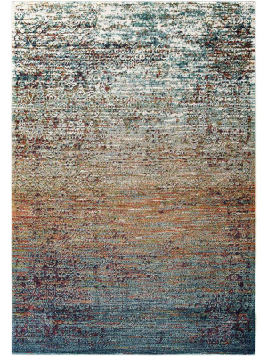 Topsfield Distressed Area Rug Multicolored