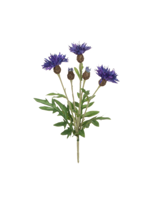 Sullivans Artificial Centaurea Bush 10"h Green