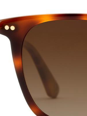 Palmer | Maple Polarized