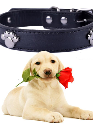 Stylish Friend! -  Pet Collar