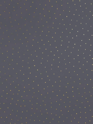 Dusk Wallpaper In Gold On Charcoal By Thatcher Studio