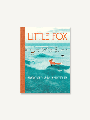 Little Fox