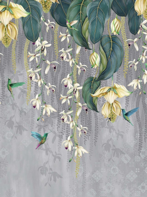 Trailing Orchid Wall Mural In Grey And Lemon From The Folium Collection By Osborne & Little