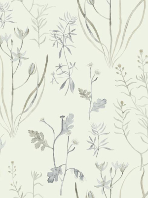 Alpine Botanical Wallpaper In Ivory And Grey From The Norlander Collection By York Wallcoverings