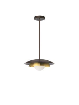 Carapace Pendant Light With Drop Rod