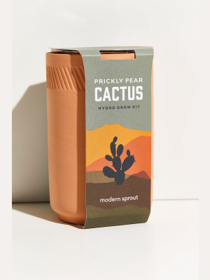 Modern Sprout Terracotta Grow Kit