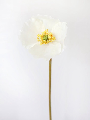 Cream Silk Flower Poppy - 23"
