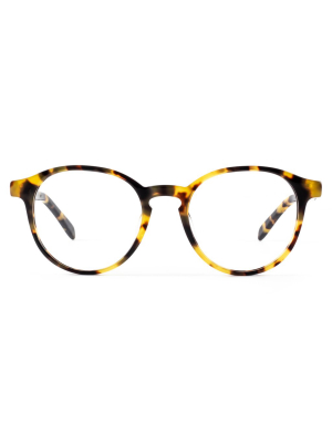 Sutro Optical 04