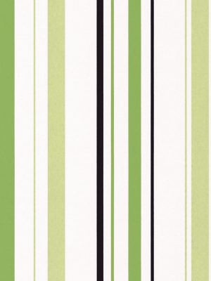 Joyful Stripes Wallpaper In Green Design By Bd Wall