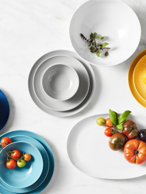 Vista Colorful Dinner Plates