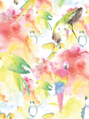 Watercolour Birds Wallpaper From The Wallpaper Republic Collection By Milton & King