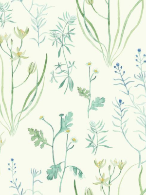 Alpine Botanical Wallpaper In Ivory And Blue From The Norlander Collection By York Wallcoverings