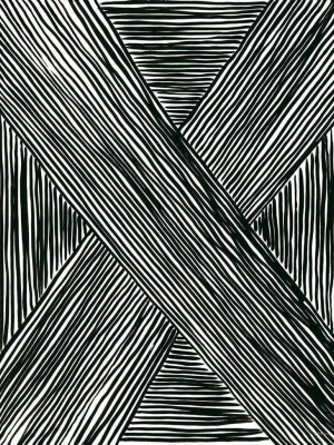 Blu Art Black And White Stripes 1