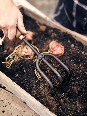 Cultivator Hand Tool