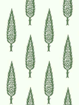 Juniper Tree Wallpaper In Green From The Silhouettes Collection By York Wallcoverings