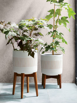 Mid-century Turned Wood Leg Planters - White & Gold