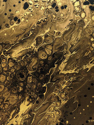 Study In Gold And Black 8