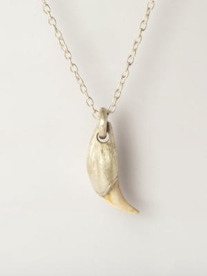 Bear Tooth Necklace Ghost Hybrid (large, Ma+b)