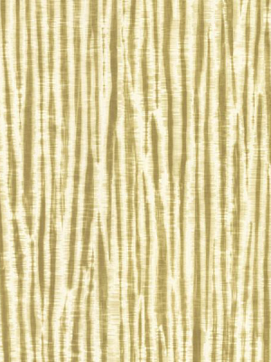 Chios Golden Green Stripe Wallpaper From The Savor Collection By Brewster Home Fashions