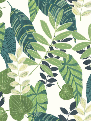 Tropicana Leaves Wallpaper In Viridian And Dill From The Boho Rhapsody Collection By Seabrook Wallcoverings