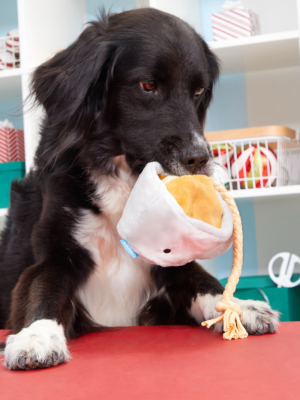 Bark Tea For Chew Dog Toy